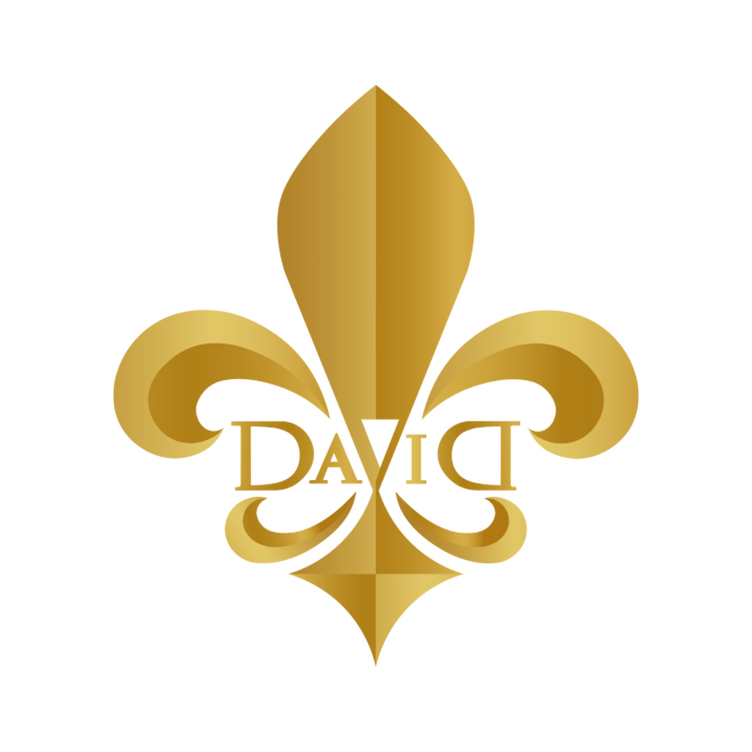 2022-sponsors-david-security-logo