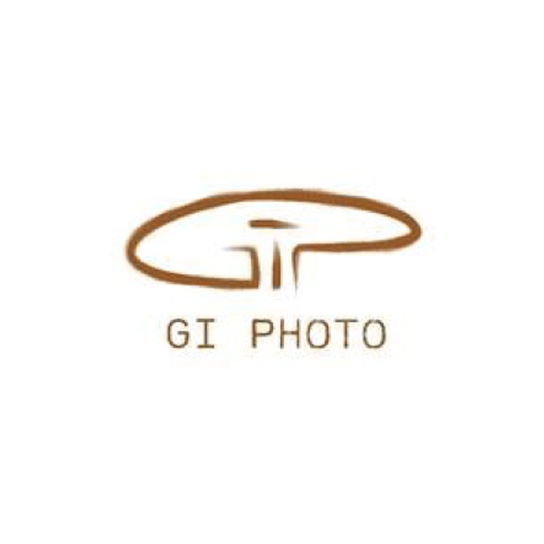 gi gi-photo-graph